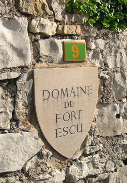 The famous shield Fort Escu - devised by Winifred