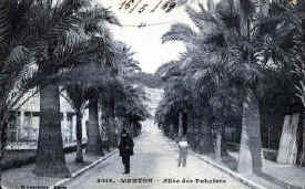 Menton Allee des Palmiers 1919