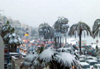 Riviera Snow